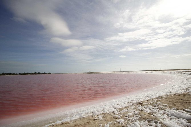 Full-Day Tour to Las Coloradas Pink Paradise in Yucatan and Rio Lagartos. - Key points before you go