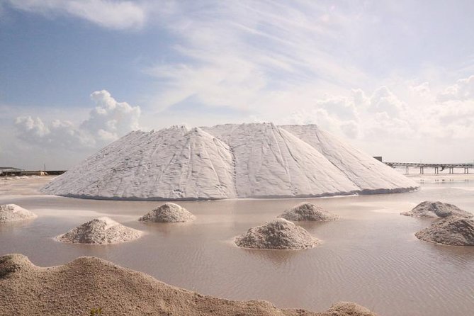Full-Day Tour to Las Coloradas Pink Paradise in Yucatan and Rio Lagartos. - The Maya Bath mud bath: exfoliation without the spa bill