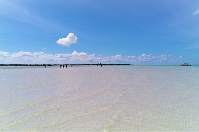 Full Day Tour to the Best of Holbox - A Full Day Jump from Cancun to Holbox’s Peaceful Water