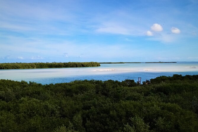 Full Day Tour to the Best of Holbox - Holbox Island for Two Hours: Walk, Swim, and Choose Your Own Pace