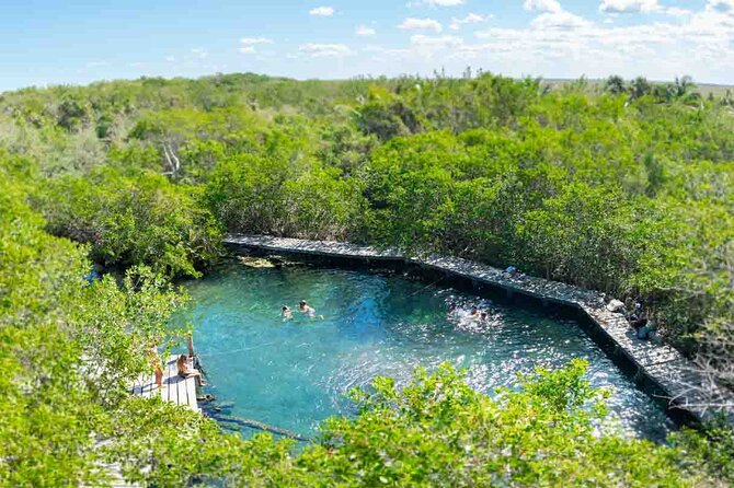 Full Day Tour to the Best of Holbox - Price, What You Get, and Where the Extra Money Goes