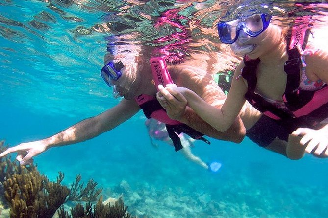 Full day Xcaret Plus & Buffet & from Cancun & Playa del Carmen - Lunch at Xcaret: Buffet Planning Without the Headache