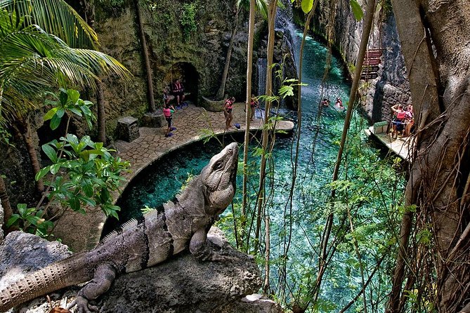 Full day Xcaret Plus & Buffet & from Cancun & Playa del Carmen - The Mexico Espectacular Show: Your Cultural Anchor