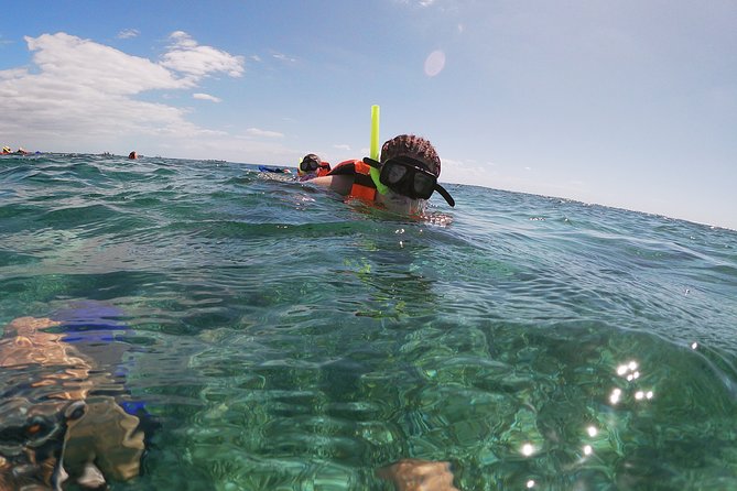 Guided Tour of Puerto Morelos Reefs with Snorkeling Experience - Check-in, boat time, and the two reef visits (first 40 minutes, then corals)