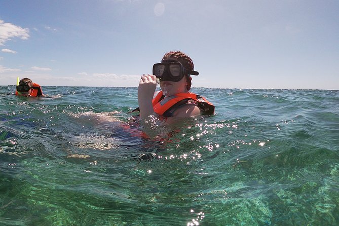 Guided Tour of Puerto Morelos Reefs with Snorkeling Experience - Is it worth $44.25 plus the $15 reef park tax?