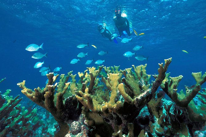 Guided Tour of Puerto Morelos Reefs with Snorkeling Experience - Group size, timing, and when to build in extra buffer time