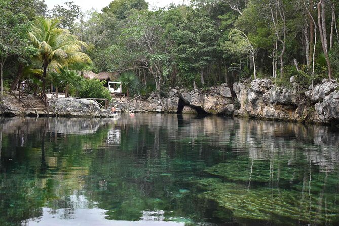 Half Day Cenotes Tour - Key things that make this Half Day Cenotes Tour worth considering