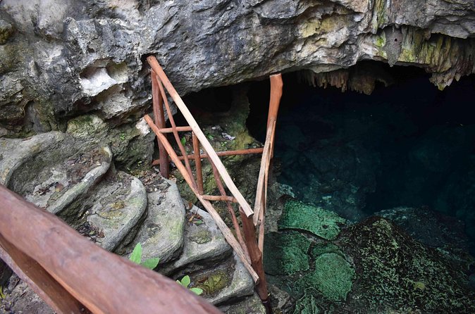 Half Day Cenotes Tour - Transport and Timing: How the Day Stays on Track