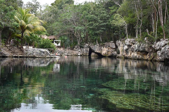 Half Day Cenotes Tour - The Guide Experience: Friendly Coaching in a Small Group