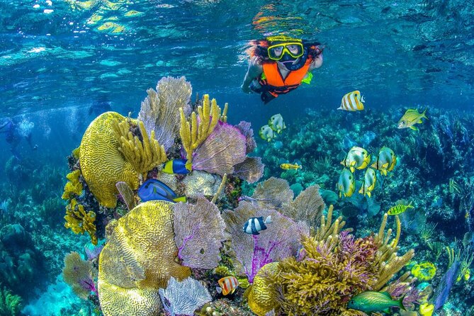 Half Day Guided Snorkeling Adventure Tour from Cancun - Key Things That Make This Tour Worth Your Time