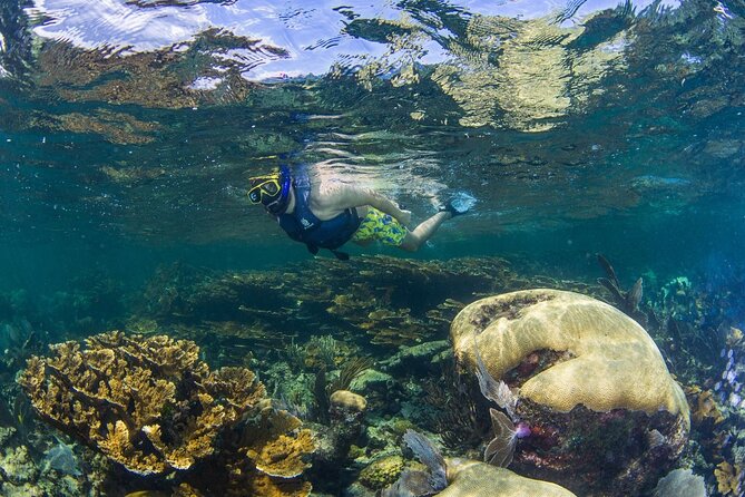 Half Day Guided Snorkeling Adventure Tour from Cancun - Beach Club Lunch: The Part That Makes It a Real Day, Not Just a Swim