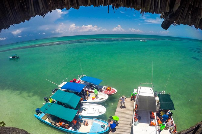Holbox Island Tour departure from Cancun - Lunch, snacks, and water: the fuel that makes the long day work