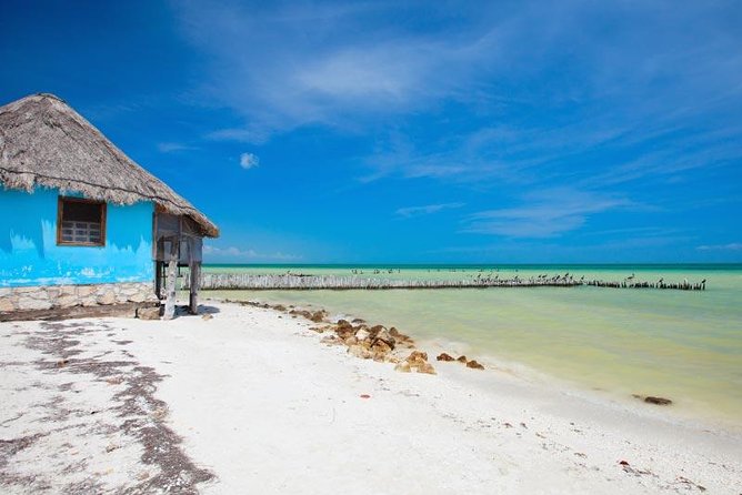 Holbox Island Tour departure from Cancun - Price and Logistics Reality Check: $60 plus the $30 maritime balance
