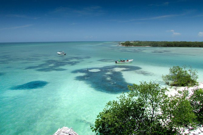 Holbox Island Tour From Cancun - Holbox Island time: golf-cart cruising and beach pacing