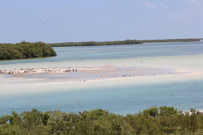 Holbox Island Tour From Cancun - Crew, comfort, and the small-group vibe