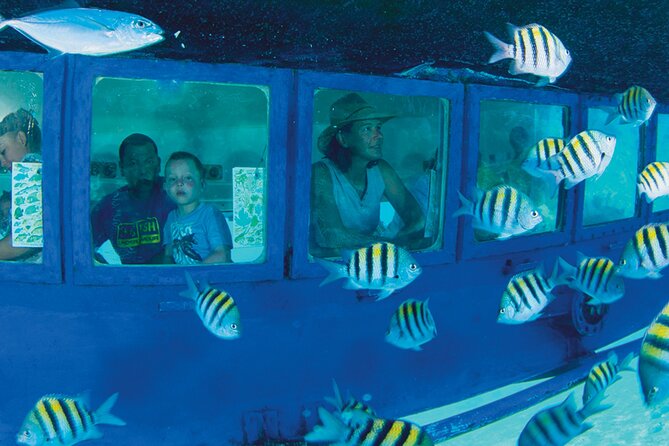 Hop-on Hop-off City Tour Cancun plus Submarine or Bodyboard Experience - La Isla Cancún, Aquaworld, and Dolphin Beach: where the day gets fun