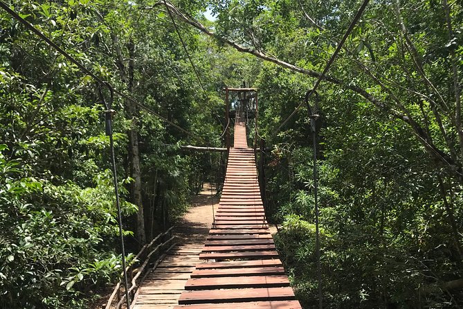 Horseback riding and ATV in the jungle, Ziplines, Cenote & Lunch - ATV in the Mayan jungle: mud, climbs, and choosing your ride
