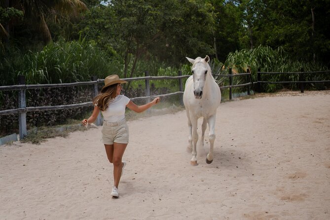 Horseback Riding and Cenote Swim from Cancun or Playa del Carmen - Why This Rancho Bonanza Combo Works So Well