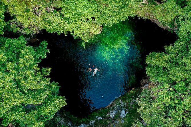 Horseback Riding and Cenote Swim from Cancun or Playa del Carmen - The Jungle Stories: Bubblegum, Flora, Fauna, and a Few Surprises