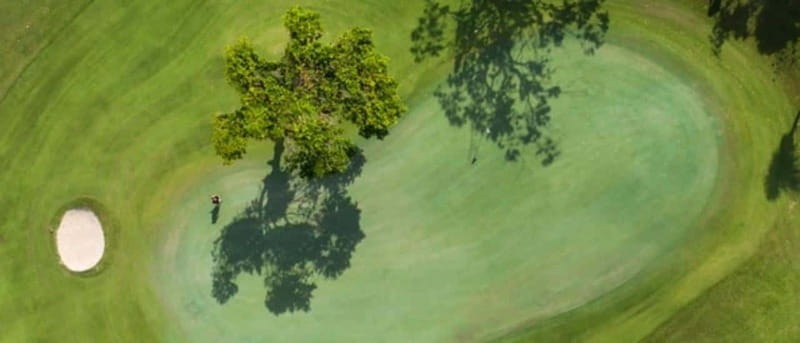 Iberostar Cancun Golf Course - Wildlife, Mangroves, and Ruins Views: The Extra Cancun Factor
