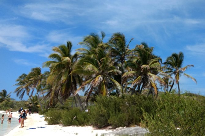 Isla Contoy and Isla Mujeres Tour with Snorkeling from Cancun - Isla Contoy Island Time: Trails, Wildlife, and Quiet Views