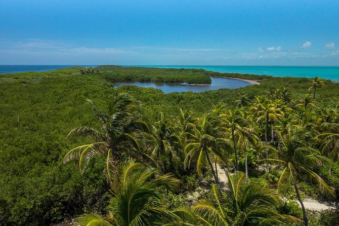 Isla Contoy and Isla Mujeres Tour with Snorkeling from Cancun - Price and Logistics: Where Value Comes From (and What Costs Extra)