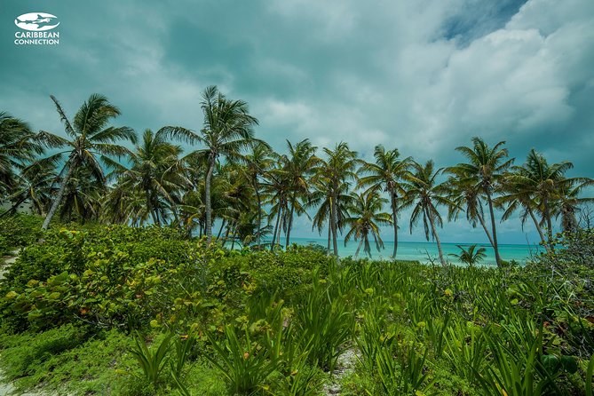 Isla Contoy Eco Adventure - Who This Tour Fits Best (and Who Should Skip It)