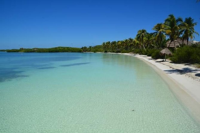 Isla Contoy Incredible Tour! Round Transportation From Cancun & Playa Del Carmen - Isla Mujeres in about one hour: what you can realistically do
