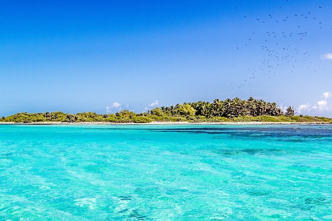 Isla Contoy Incredible Tour! Round Transportation From Cancun & Playa Del Carmen - Price and value: $161 plus the $20 marina tax