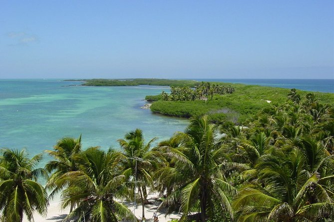 Isla Contoy Incredible Tour! Round Transportation From Cancun & Playa Del Carmen - Should you book Isla Contoy and Isla Mujeres?
