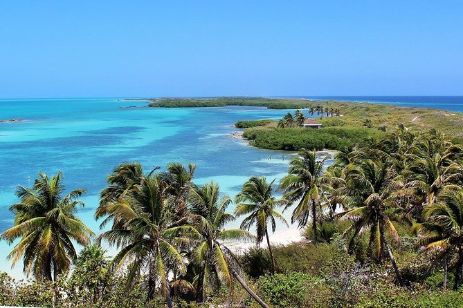 Isla Contoy & Isla Mujeres Tour from Cancun & Playa Del Carmen - Quick Reality Check: The Day Layout and What It Costs
