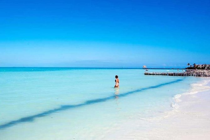 Isla Contoy & Isla Mujeres Tour from Cancun & Playa Del Carmen - Price and Value: Does $162 Really Add Up?