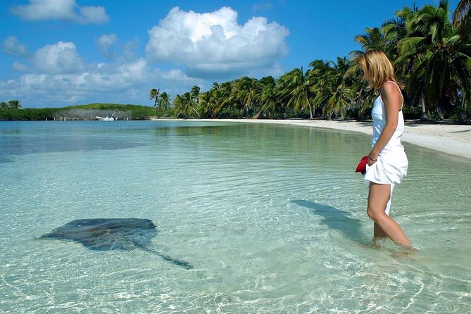 Isla Contoy & Isla Mujeres Tour from Cancun & Playa Del Carmen - Isla Contoy: Protected Reef Snorkel and a Real Guided Island Window