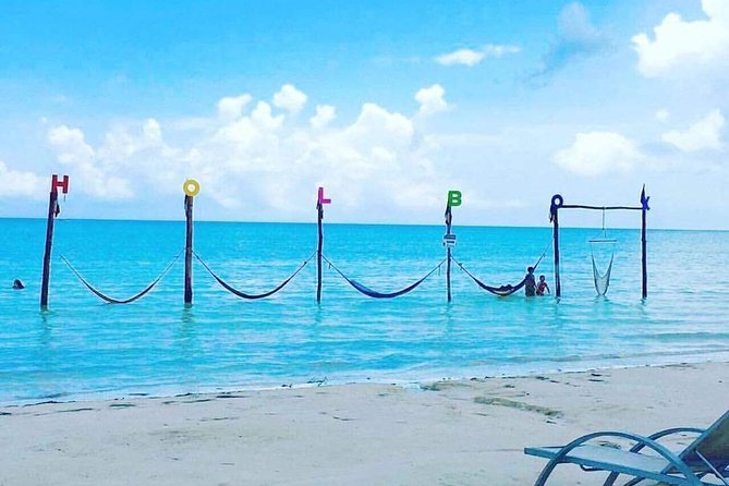 Isla Holbox All Inclusive with Transportation (Breakfast and Food Included) - Isla Pájaros (Isla Morena): Bird Island Views and a Mangrove Walk