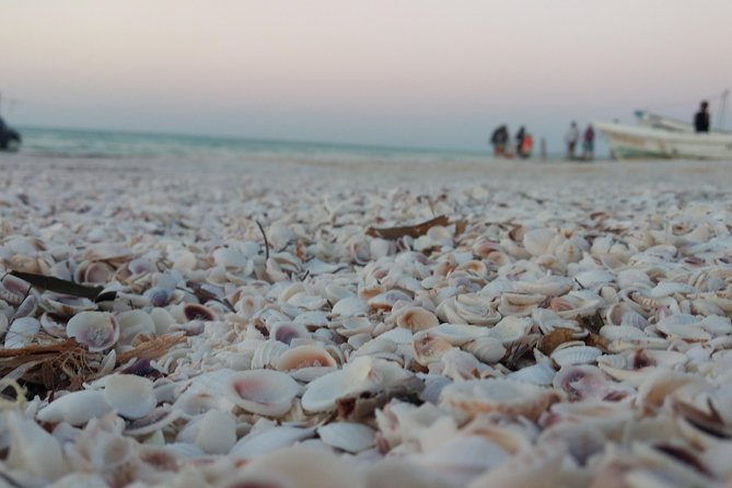 Isla Holbox All Inclusive with Transportation (Breakfast and Food Included) - Golf Cart Time on Holbox: When Mobility Helps (and When It Costs)