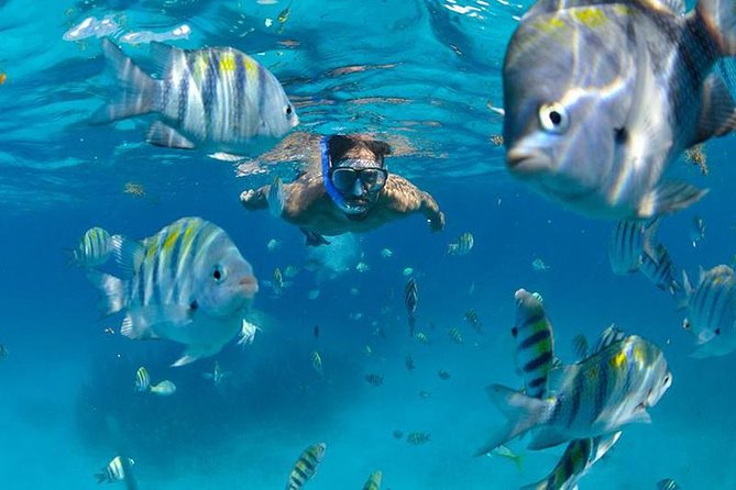 Isla Mujeres Catamaran Adventure All Inclusive from Cancun - Price and value: what $73 covers (and what’s extra)