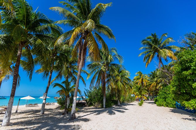 Isla Mujeres Catamaran, Open Bar & Optional Buffet and pick up - Arrecife El Meco Snorkeling: Timing, Rules, and What to Expect Underwater