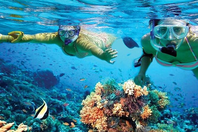 Isla Mujeres Catamaran, Open Bar & Optional Buffet and pick up - Isla Mujeres Free Time: Beach Walks, Shopping, and Getting Around