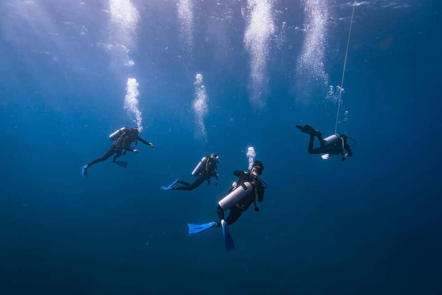 Isla Mujeres: Catamaran Ride with Open Bar, Snorkeling, and Lunch - Sailing out of Cancun: where the day starts to feel easy