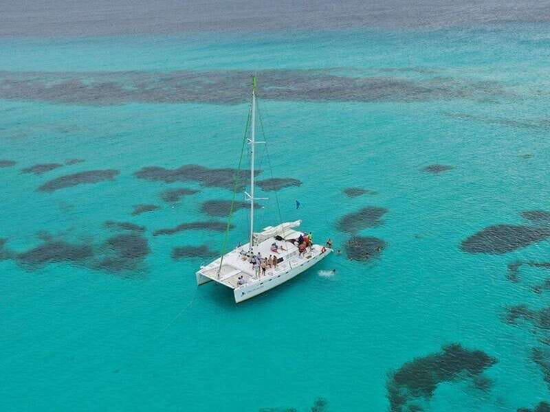 Isla Mujeres Catamaran Tour: Snorkel & Beach Adventure - First Stop: El Meco Reef and Underwater Statues (Where the Day’s Best Moments Live)
