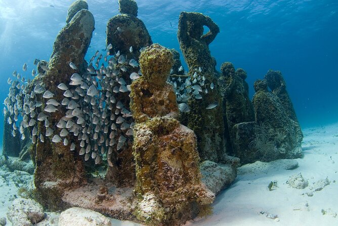 Isla Mujeres Catamaran Tour with Snorkeling at MUSA, Buffet Lunch & Open Bar - Who should book this Isla Mujeres catamaran snorkeling tour