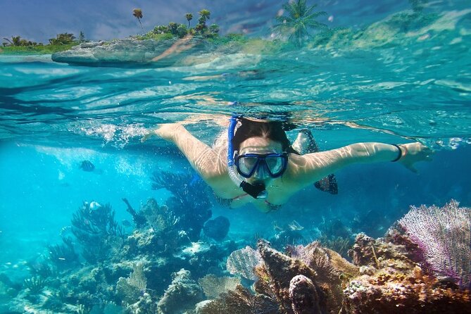 Isla Mujeres Catamaran Tour with Snorkeling, Open Bar & Buffet - Food and drinks at Isla Mujeres: restaurant time plus buffet at the beach club
