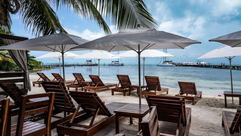 Isla Mujeres: Catamaran with Open Bar, Snorkeling and Lunch - Playa Norte Beach Club: why this stop is the main reason to book