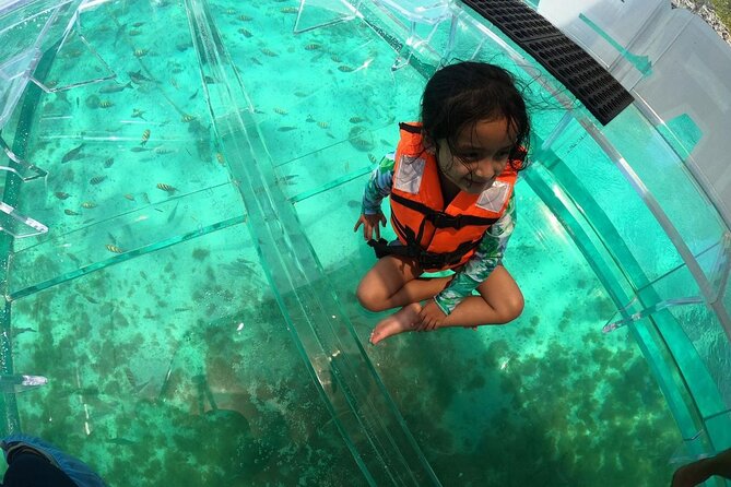 Isla Mujeres: Coral Reef Views from a Clear Boat - Weather Reality on Isla Mujeres: When Wind Changes the Plan