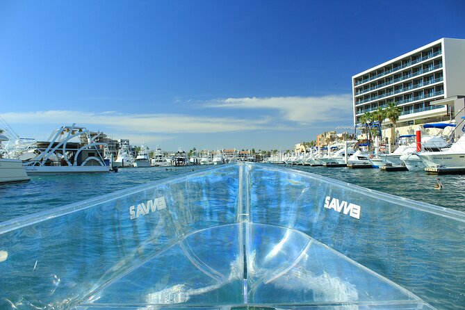 Isla Mujeres: Coral Reef Views from a Clear Boat - Stop 1: El Farito Reef and the Fish You’ll Actually Want to Photograph