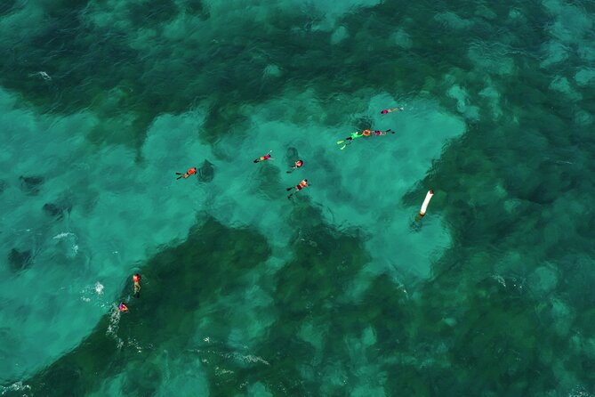 Isla Mujeres Island and Snorkeling Tour - The Main Tradeoffs to Know Before You Go