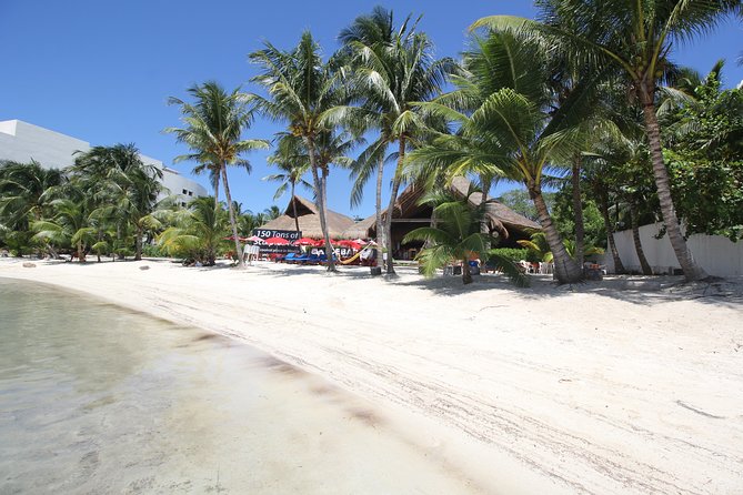 Isla Mujeres luxury catamaran with premium open bar and lunch - The VIP Beach Club Lunch at Zama or IXI: Where Your Day Slows Down