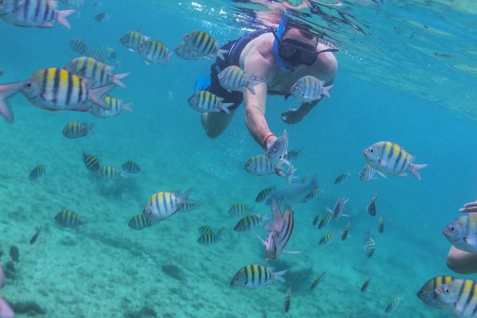 Isla Mujeres Luxury Sailing: Adults Only or Family Friendly - Adults-only vs family-friendly: choosing the right cruise for your group