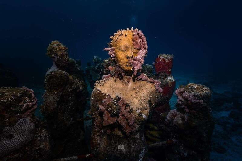 Isla Mujeres: MUSA and the Manchones Reef: 2 Tank Dive Tour - Key Highlights at a Glance