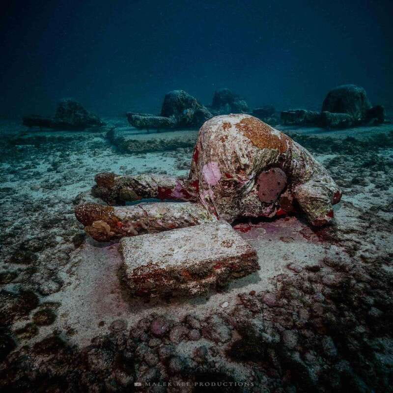 Isla Mujeres: MUSA and the Manchones Reef: 2 Tank Dive Tour - Isla Mujeres: Why This 2-Tank Art + Reef Combo Works